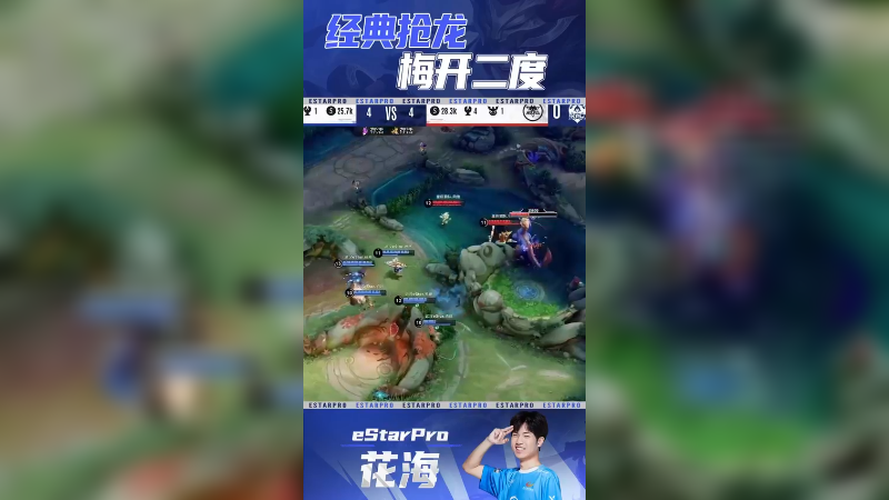 驯龙高手
