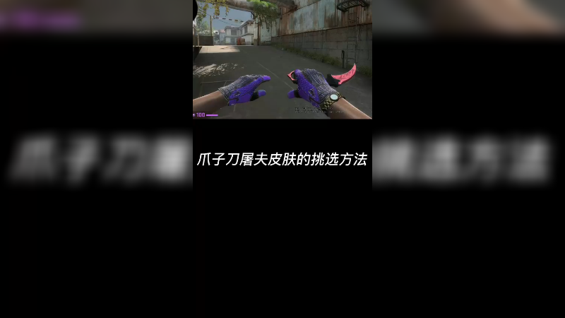 【csgo皮肤挑选】屠夫爪子刀，玄学举例