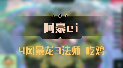 【阿豪ei】4风暴龙3法师 吃鸡