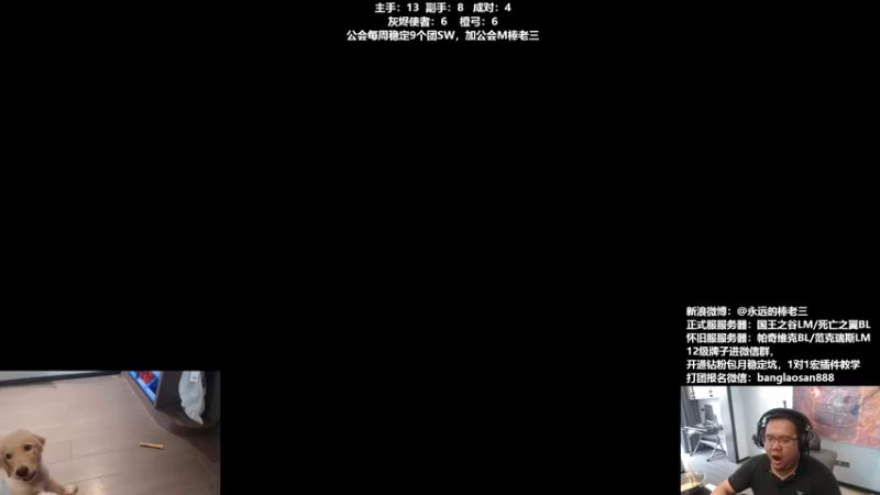 【2022-08-27 17点场】棒老三：狗子偷吃了葡萄，观察中！！