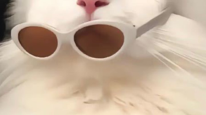 27赛季开荒