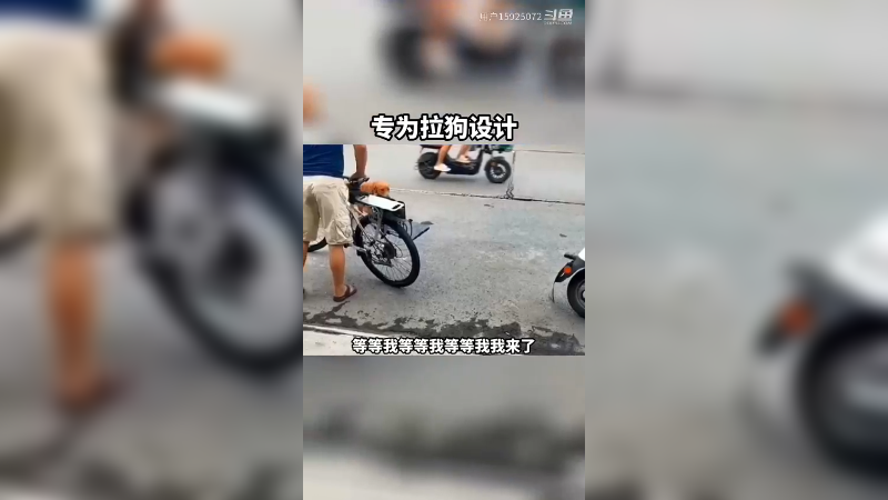 这车座子专为狗子设计，不但坐着得劲，回头率还高。