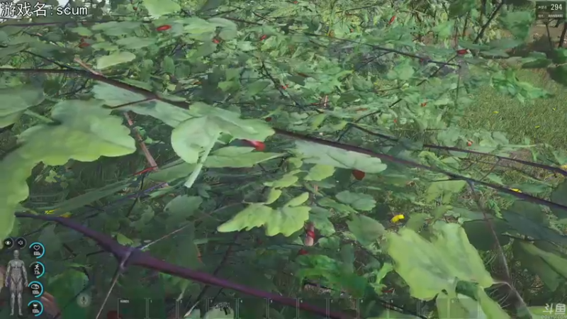 【2022-08-28 20点场】巴格拉斯：热爱生活，走进巴叔