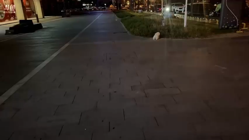 【2022-08-25 23点场】别问问就黑皮：【小奶团】健身第二周！