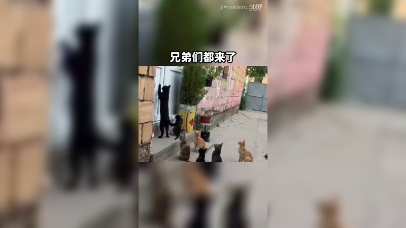 我把兄弟们都叫来了，别让我下不了台啊。