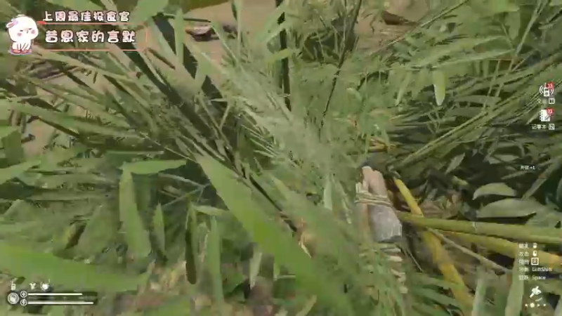 【2022-08-25 22点场】昔恩小姐姐：【搞笑女的“热”情~】