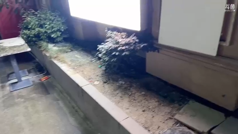 【2022-08-26 19点场】douyu小漠：宁波主播集合斗罗大陆