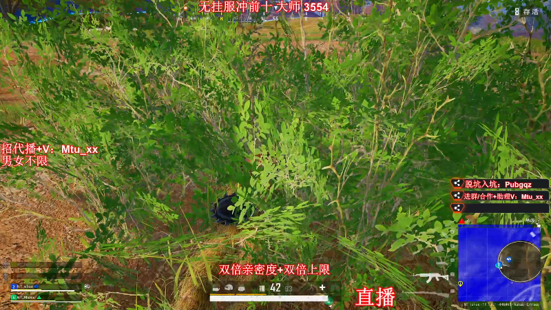 【热门游戏】顶级菊宝a的精彩时刻 20220828 16点场