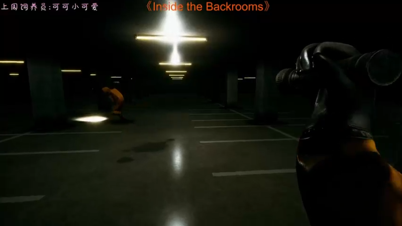 【2022-08-27 22点场】七潇丷：恐怖游戏《暗房》