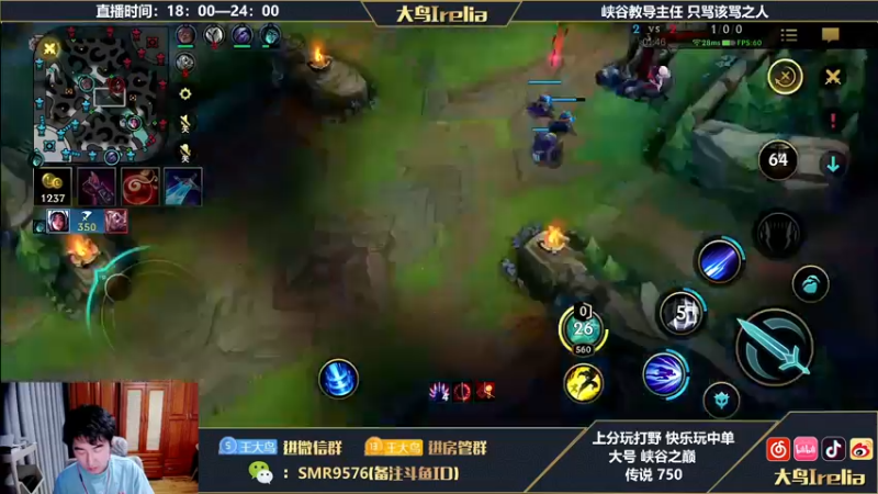 【2022-08-28 19点场】大鸟Irelia：最强中野：思路操作透彻讲解