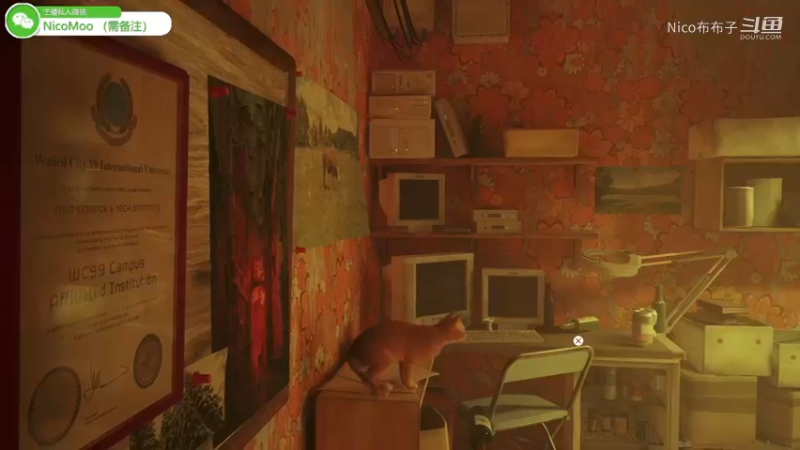 猫猫模拟器《迷失》02