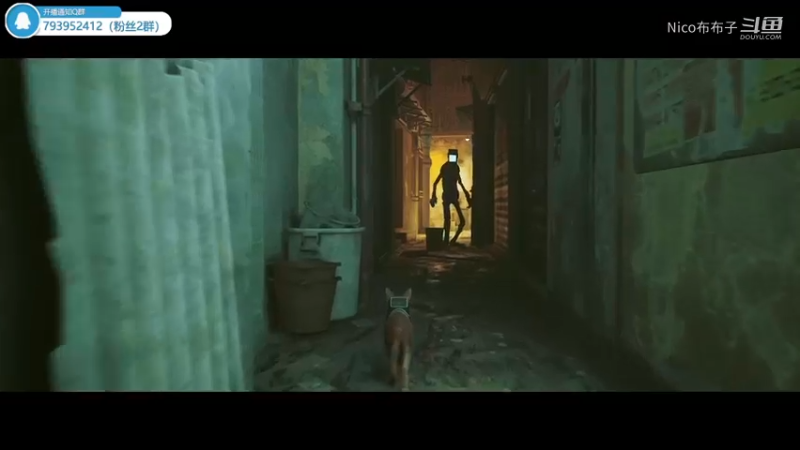 猫猫模拟器《迷失》04