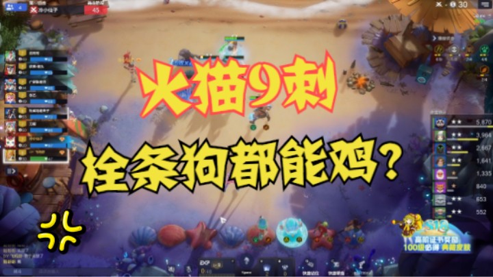 火猫9刺，栓条狗都能鸡？