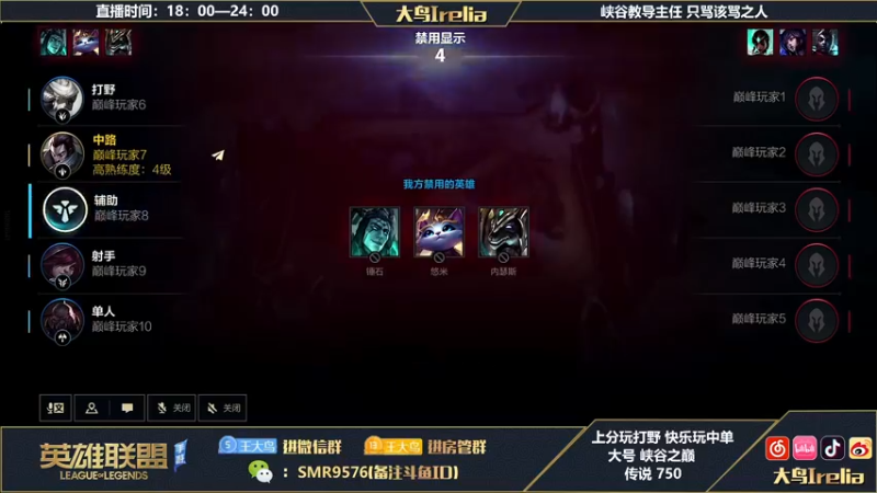 【2022-08-28 21点场】大鸟Irelia：最强中野：思路操作透彻讲解