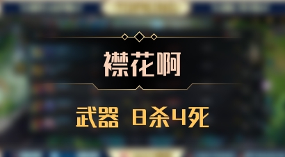【襟花啊】武器 8杀4死