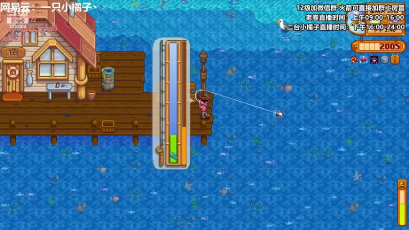 【2022-08-29 00点场】卷子丶：赛季末圆梦小橘来咯~~！