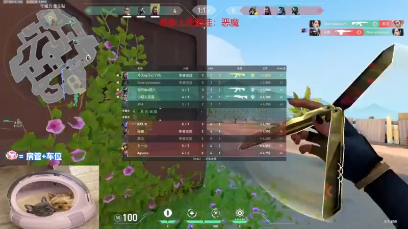 【2022-08-29 17点场】瓦罗兰特啊杰：【啊杰】：开心的直播间！！！