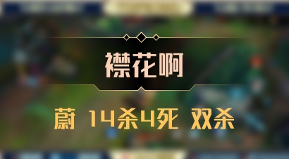 【襟花啊】蔚 14杀4死 双杀