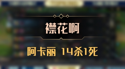 【襟花啊】阿卡丽 14杀1死