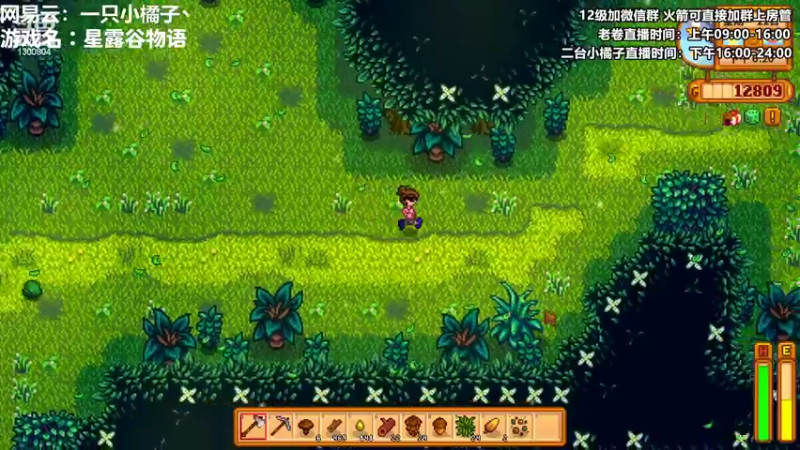 【2022-08-30 01点场】卷子丶：农夫小橘子种会田吧~~！