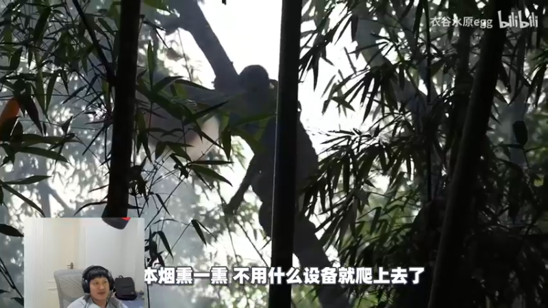 【2022-08-31 16点场】yjjimpaopao：瓦罗兰特 今晚看比赛