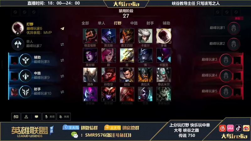 【2022-08-28 23点场】大鸟Irelia：最强中野：思路操作透彻讲解