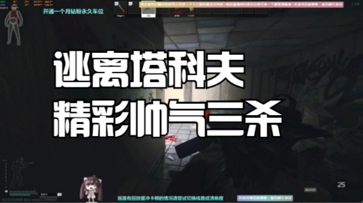 逃离塔科夫精彩帅气三杀