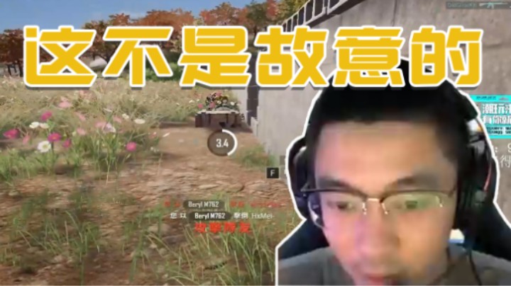 我啥时候打队友了