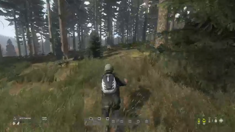 【2022-08-31 20点场】dayz韩爱东西：打开这个游戏，你将忘却世间所有的烦恼