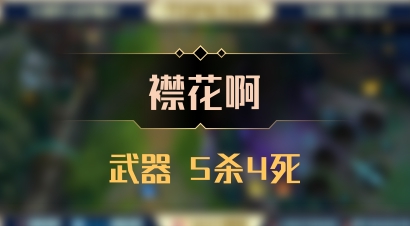 【襟花啊】武器 5杀4死