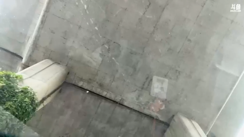 【2022-09-01 17点场】毛子Reckless：户外 户外 来玩