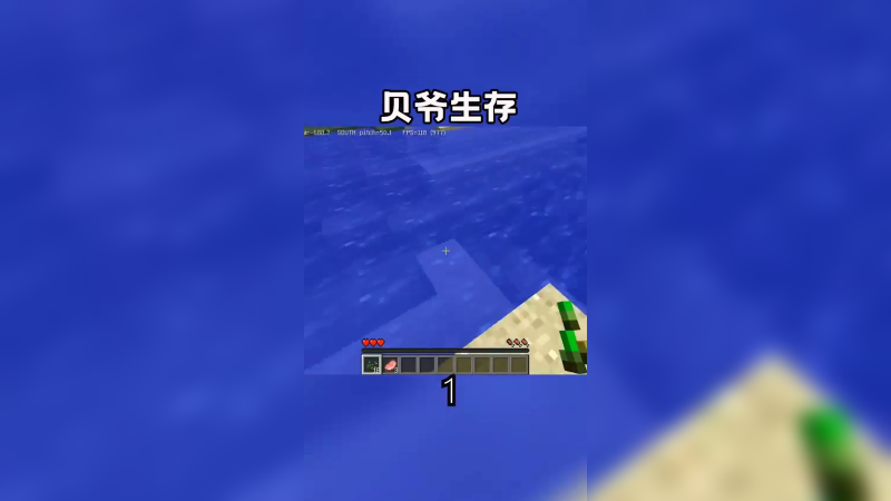 贝爷生产1（1）