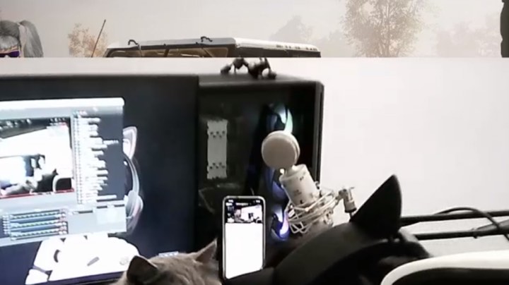 啦啦啦