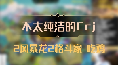 【不太纯洁的Ccj】2风暴龙2格斗家 吃鸡