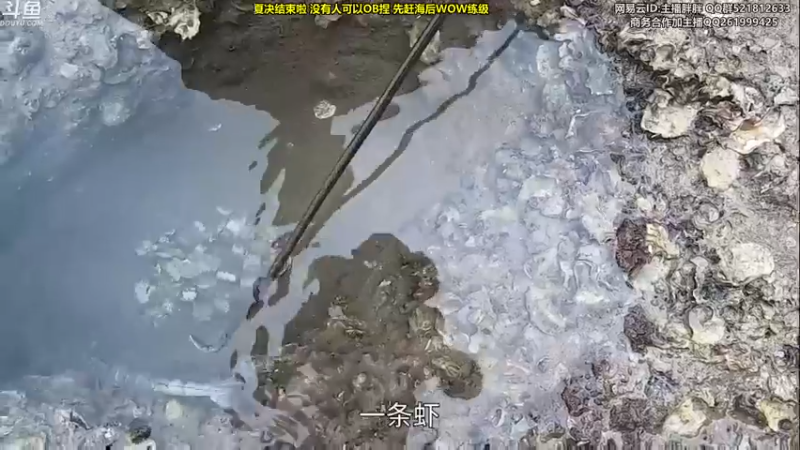 【2022-09-02 00点场】胖胖灬：胖胖OB：TES倒了，主播也倒了。。