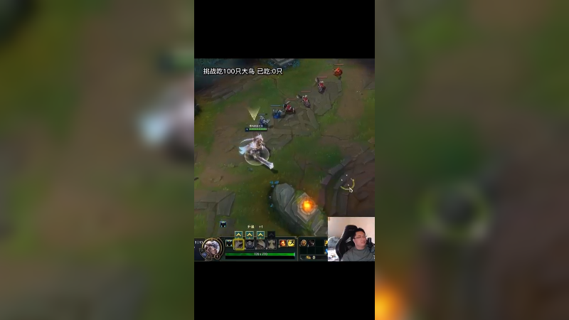 挑战1局游戏100只鸡