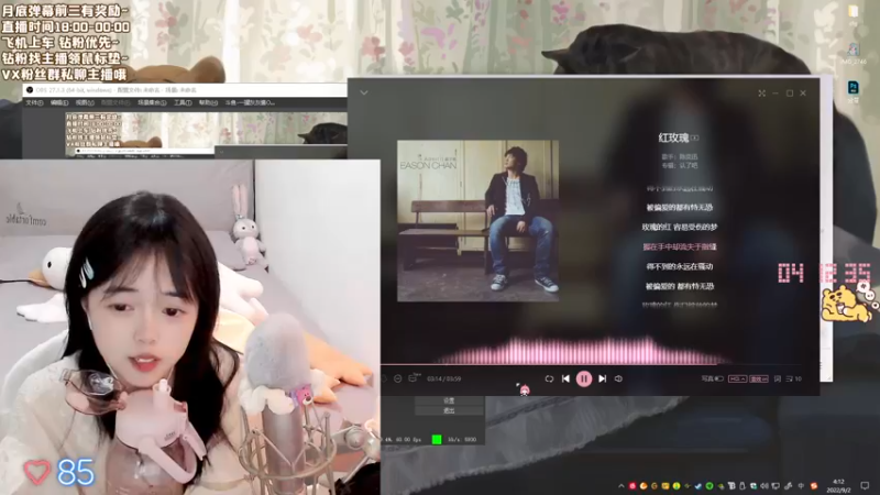【2022-09-02 04点场】一罐灰灰酱OvO：小灰今天有点困