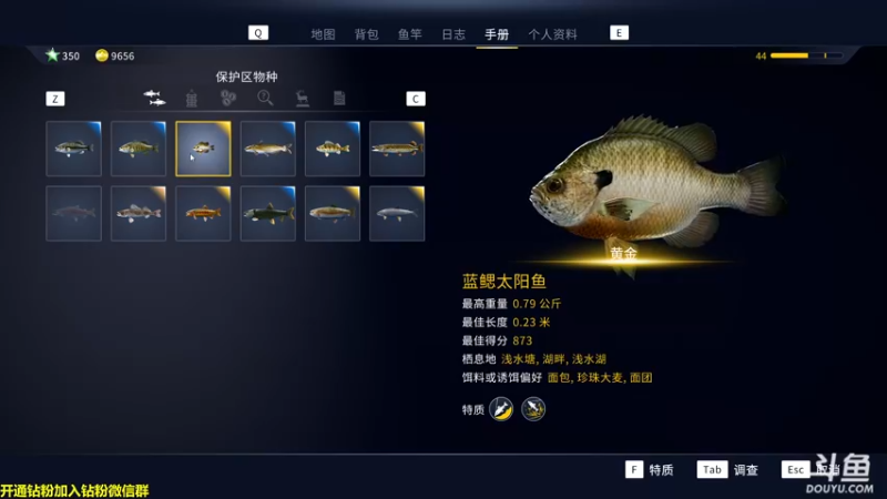 【2022-09-03 16点场】单车老师不迟到：明天出发真人钓鱼