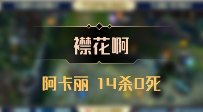 【襟花啊】阿卡丽 14杀0死