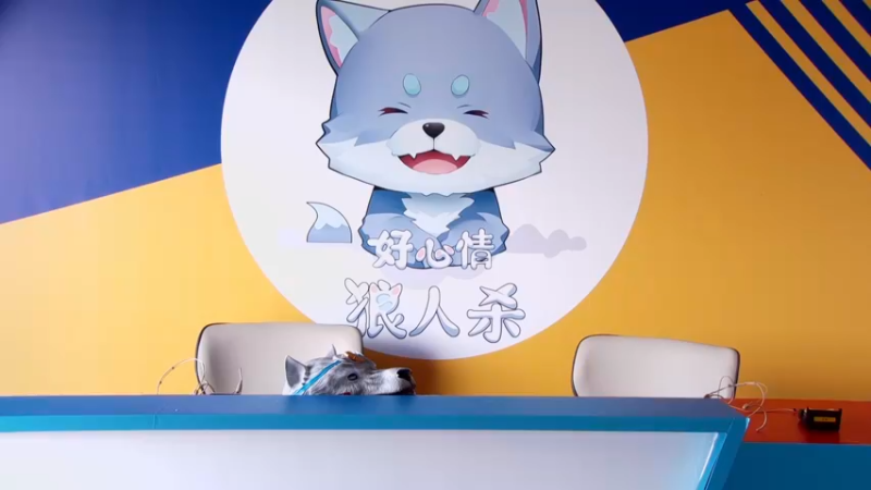 【2022-09-03 16点场】单车老师不迟到：明天出发真人钓鱼