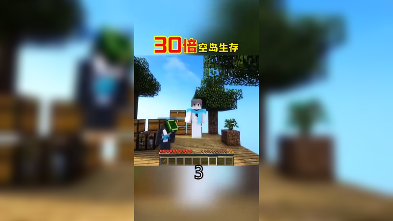30倍空岛生存3（1）