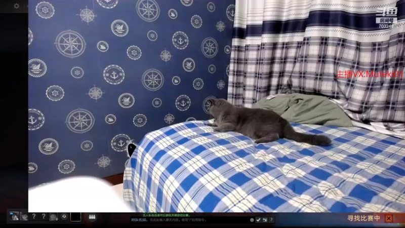 【2022-09-02 18点场】小铅笔HB：新版本蓝猫专题，欢迎提问
