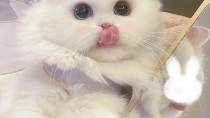 九月