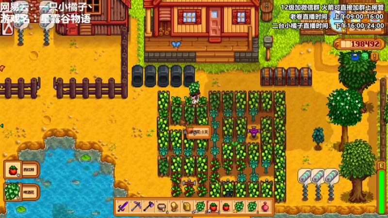 【2022-09-04 00点场】卷子丶：双倍亲密度，三倍上限，冲冲冲！！！