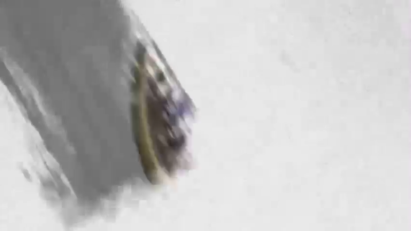 【墨衣】百分之二！鲍勃再爱我一次！