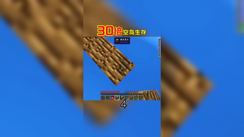 30倍空岛生存4（2）