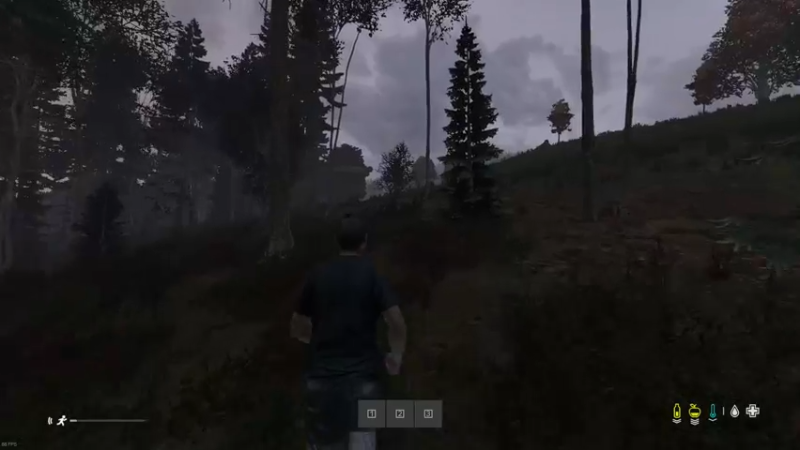 【2022-09-03 19点场】dayz韩爱东西：打开这个游戏，你将忘却世间所有的烦恼