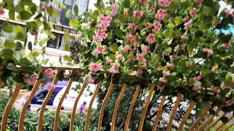 【2022-09-04 13点场】黑人毅：夜市卖烤串