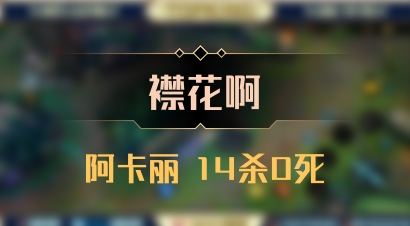 【襟花啊】阿卡丽 14杀0死