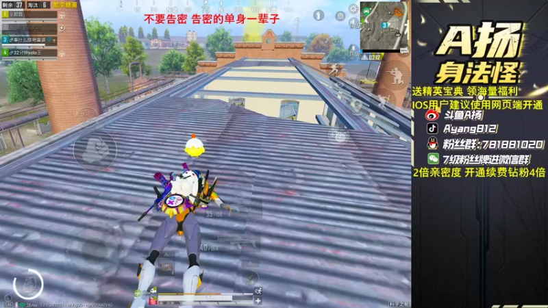 【2022-09-04 22点场】A扬丷：带路人小姐姐